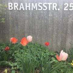 Brahms 25