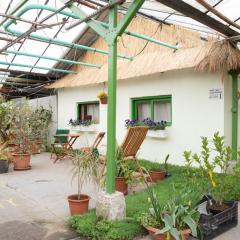 Rastlinky.sk Greenhouse Guestrooms