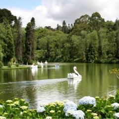 Suíte Lago Negro