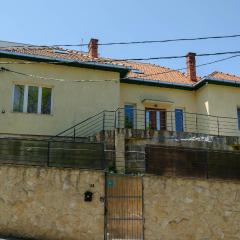 Casa Rezidentiala Pasteur