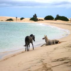 Vilas Praia de Chaves - sol y mar STANDART