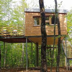 Treehouse Lika 2