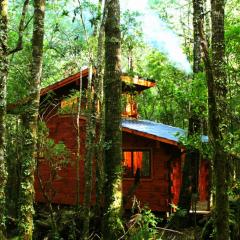 Cabañas Bosque Milenario