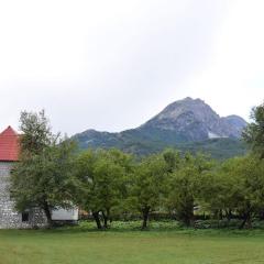 Guesthouse Jezerca