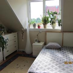 Cosy room in sydhavn