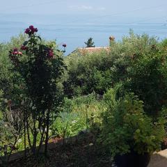 APARTMAN ANA