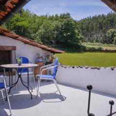 A Charming , Traditional Cottage at Quinta da Ribeira