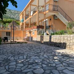 Apartments in villa Viktoria