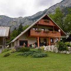 Mežnar's beautiful nature holiday house Ukanc