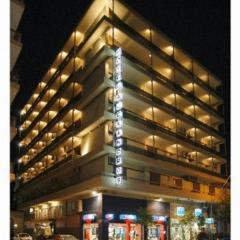 亚历山德罗斯酒店