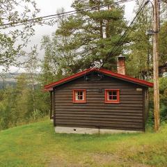 Stunning Home In Tynset With Kitchen