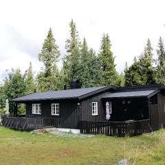 Stunning Home In Sjusjøen With Kitchen