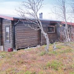 Lovely Home In Vemdalen With Ethernet Internet