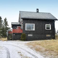 Lovely Home In Sjusjøen With Kitchen