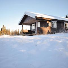 Gorgeous Home In Gol With House A Mountain View