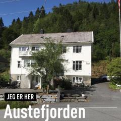 Josygaard