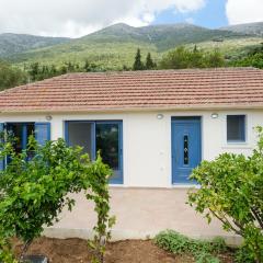 Kokonis House