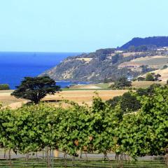 Mallavale Farm, Boat Harbour