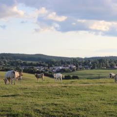 Čtyři pokoje