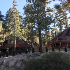 Castle Rock Cabin