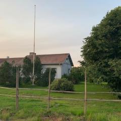 Basic Finland house with big garden