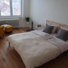 Luxurious apartment 3 min walk to city center - snack, beverages included in price