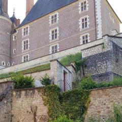 Charmant appartement au pied du château