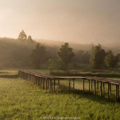 Phuruarounmai Organic Living Resort