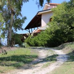 Manuel suites