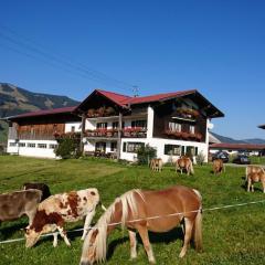 Haflinger Hof