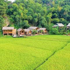 Little Mai Chau Home Stay