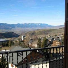 Chalet les lupins-T3
