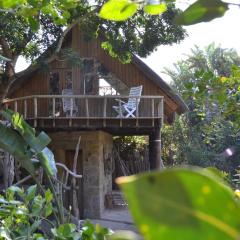 Driftwood Treehouse