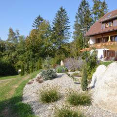 Apartment in the Black Forest with balcony