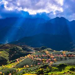 Sapa Dao Homestay