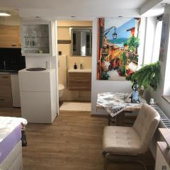 Ferienwohnung Apartment Dettum mit eigenem Bad, Kochnische und Wintergarten