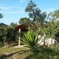 Canto Guardian - Suavidade e paz no cerrado