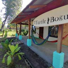 Casa turtle Bogue