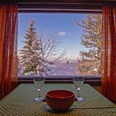 Winter chalet Anzulovic