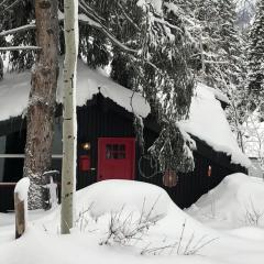 Swiss Cottage Ski and Summer Retreat