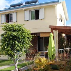 CASAMELIAS "Le ficus"