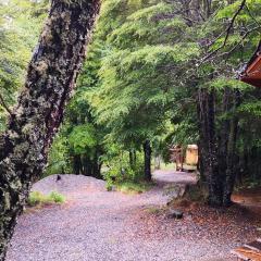 Lodge Palguin Alto