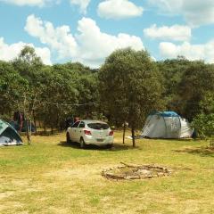 Camping do Delei