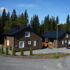 Himos Villa Nummenranta 2