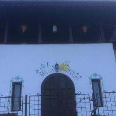 Vila Licurici