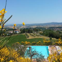 Holidays in apartment with swimming pool in Tuscany Siena