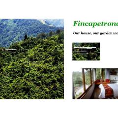 Finca Petrona