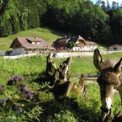 Ferienwohnung Hochsteinalm