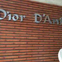 Dior D'Anfa