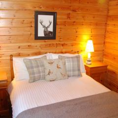 Cosy Rowan woodland lodge no3